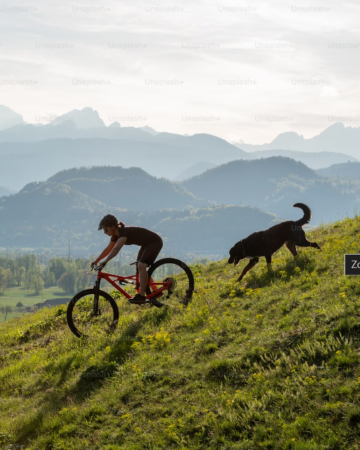 Mountain Biking